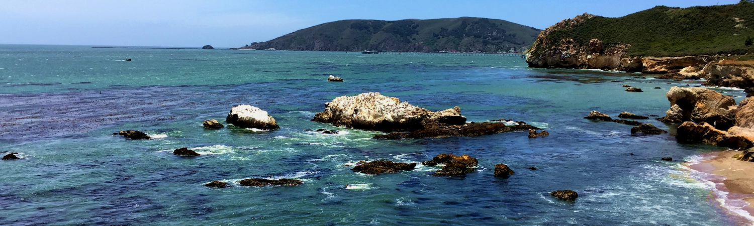 Banner image of South County 